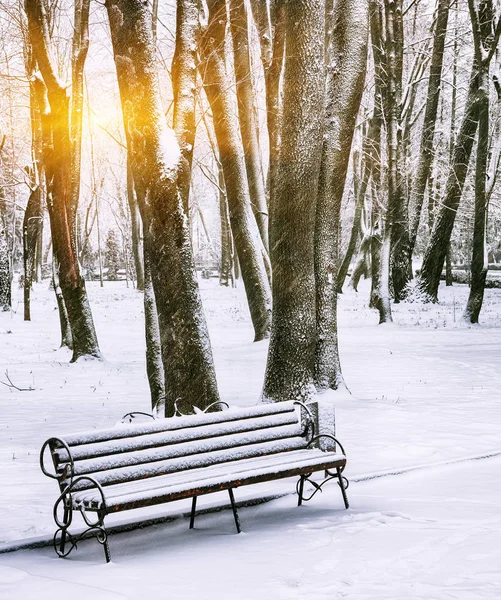Banco del parque y árboles cubiertos de nieve pesada — Foto de Stock