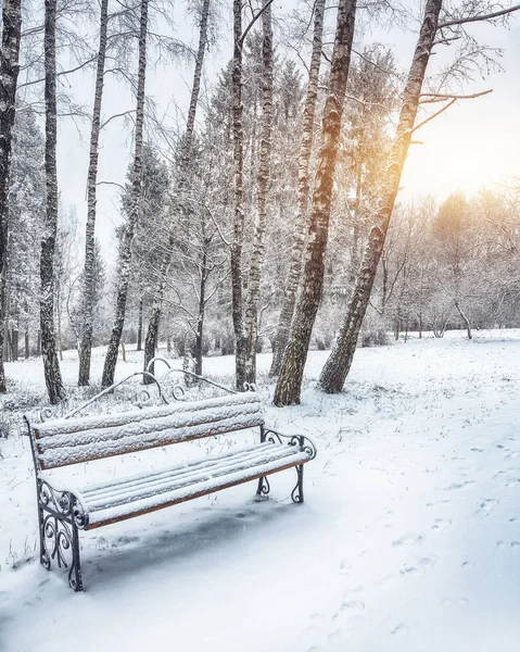 Parkbank und Bäume von starkem Schnee bedeckt — Stockfoto