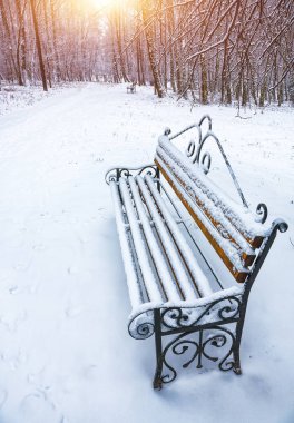Park bankı ve ağaçlar yoğun karla kaplı.