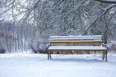 Park bankı ve ağaçlar yoğun karla kaplı.