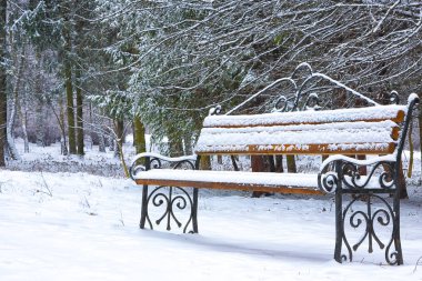 Park bankı ve ağaçlar yoğun karla kaplı.