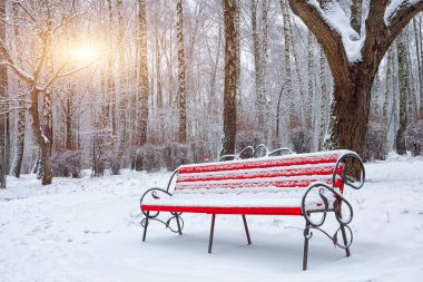 Park bankı ve ağaçlar yoğun karla kaplı.