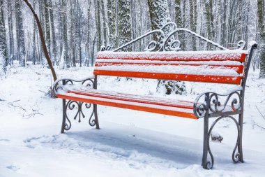Park bankı ve ağaçlar yoğun karla kaplı.