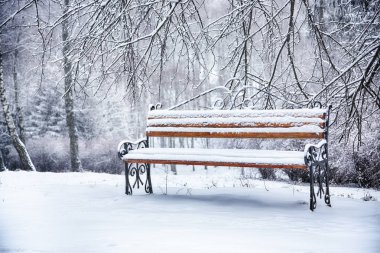 Park bankı ve ağaçlar yoğun karla kaplı.