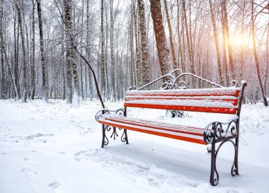 Park bankı ve ağaçlar yoğun karla kaplı.