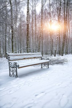 Park bankı ve ağaçlar yoğun karla kaplı.