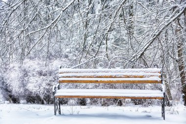 Park bankı ve ağaçlar yoğun karla kaplı.
