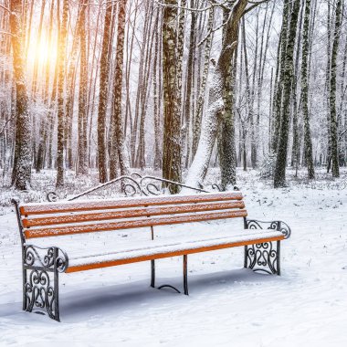 Park bankı ve ağaçlar yoğun karla kaplı.