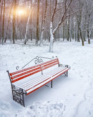 Park bankı ve ağaçlar yoğun karla kaplı.