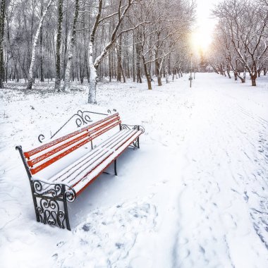 Park bankı ve ağaçlar yoğun karla kaplı.