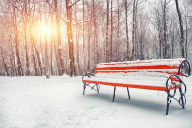 Park bankı ve ağaçlar yoğun karla kaplı.