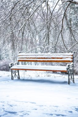 Park bankı ve ağaçlar yoğun karla kaplı.