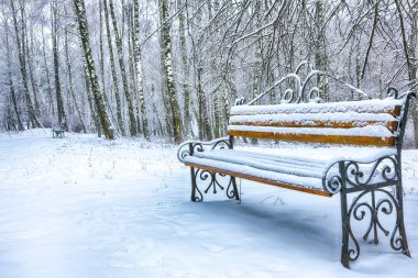 Park bankı ve ağaçlar yoğun karla kaplı.