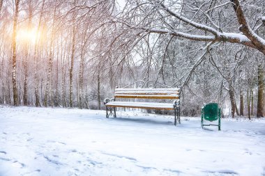Park bankı ve ağaçlar yoğun karla kaplı.