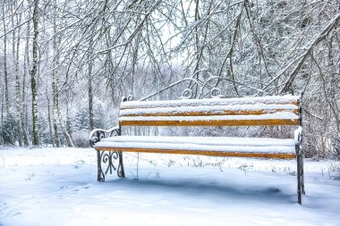 Park bankı ve ağaçlar yoğun karla kaplı.