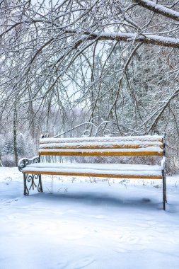 Park bankı ve ağaçlar yoğun karla kaplı.