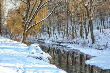 Nehir ve kış ağaçlarda doğal görünümünü