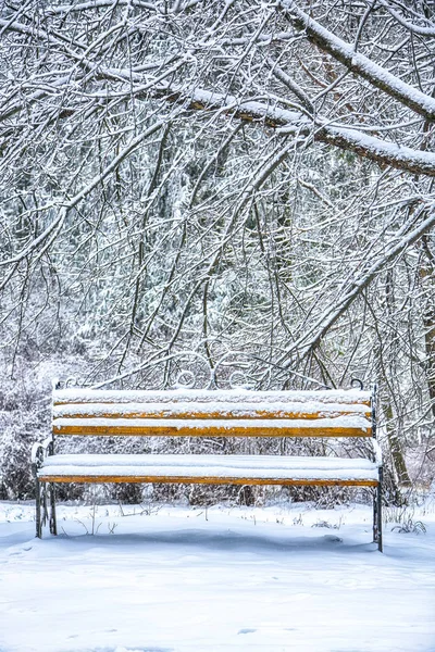 Park pad és fák borított nehéz hó — Stock Fotó