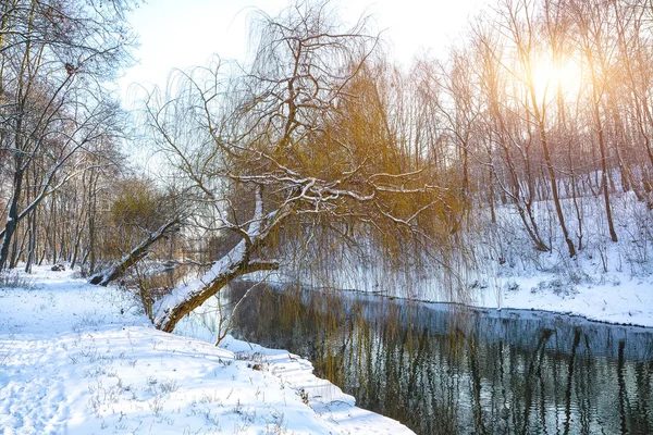 Paisaje invernal junto a un río al atardecer — Foto de Stock