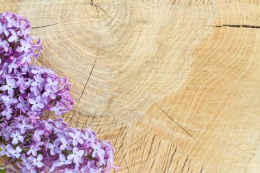 Ahşap bir vintage gemide güzel Eflatun çiçekler 