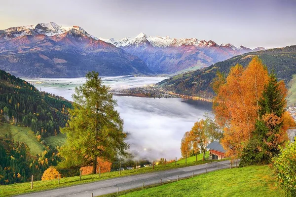 Spectacular autumn view of lake meadows trees and mountains in S — Stock Photo, Image
