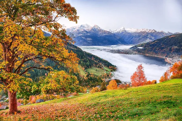 Spektakuläre Herbst Blick auf See Wiesen Bäume und Berge in s — Stockfoto