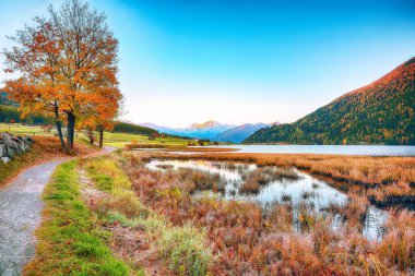 Haidersee 'nin görkemli sonbahar manzarası (Lago della Muta) göl esprisi