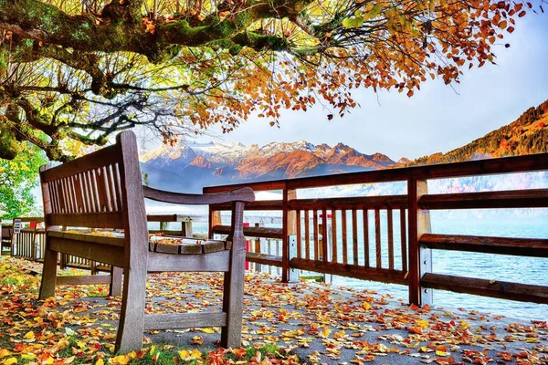 Spektakuläre Herbst Blick auf See und Bäume im Stadtpark von verkaufen ein — Stockfoto