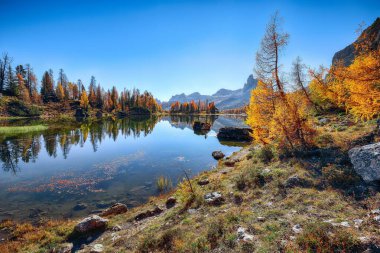 Federa Gölü 'nün Dolomitlerdeki muhteşem sonbahar manzarası