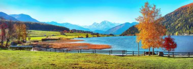 Splendid autumn panorama of Haidersee (Lago della Muta) lake wit clipart