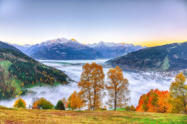 Spectacular autumn view of lake meadows trees and mountains in S clipart