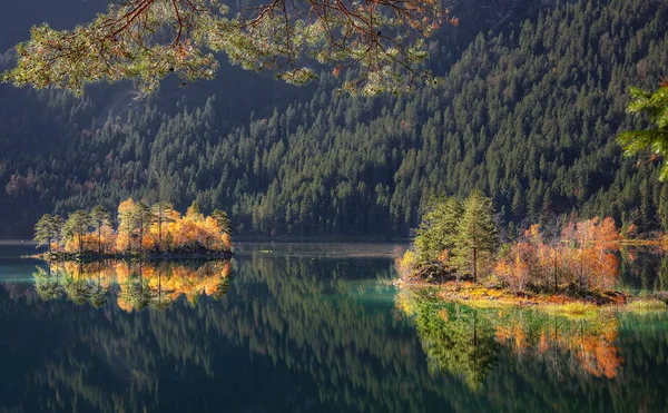 Charming autumn  landscape of islands with pine-trees in the mid — Stock Photo, Image