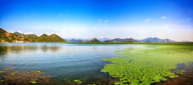Güneşli bir günde Skadar Gölü 'nün yeşil dağ tepeleriyle çevrili muhteşem manzarası. Konum: Ulusal park Skadar Gölü, Karadağ, Balkanlar, Avrupa.