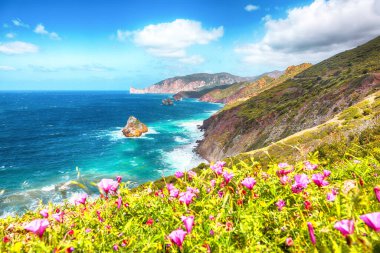 Arka planda Nebida ve Masua sahillerinin ve Pan Di Zucchero 'nun muhteşem bahar manzarası. Konum: Nebida, Iglesias, Sardunya, İtalya Avrupa