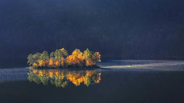 Charmante Herbstliche Insellandschaft Mit Kiefern Inmitten Des Eibsees — Stockfoto