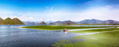 Güneşli bir günde Skadar Gölü 'nün yeşil dağ tepeleriyle çevrili muhteşem manzarası. Konum: Ulusal park Skadar Gölü, Karadağ, Balkanlar, Avrupa.