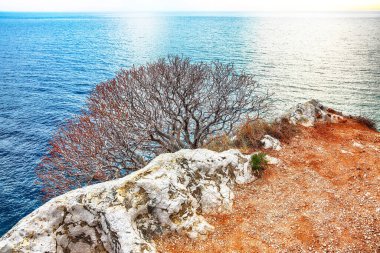 Petrovac 'a giden kıyı şeridi ve Adriyatik deniz manzarası. Konum: Petrovac kenti, Karadağ, Balkanlar, Avrupa