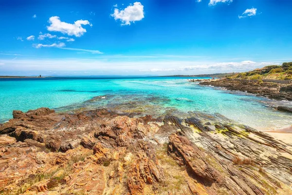 Awesome Morning View Famous Pelosa Beach Rocky Shore Torre Della — Stock Photo, Image