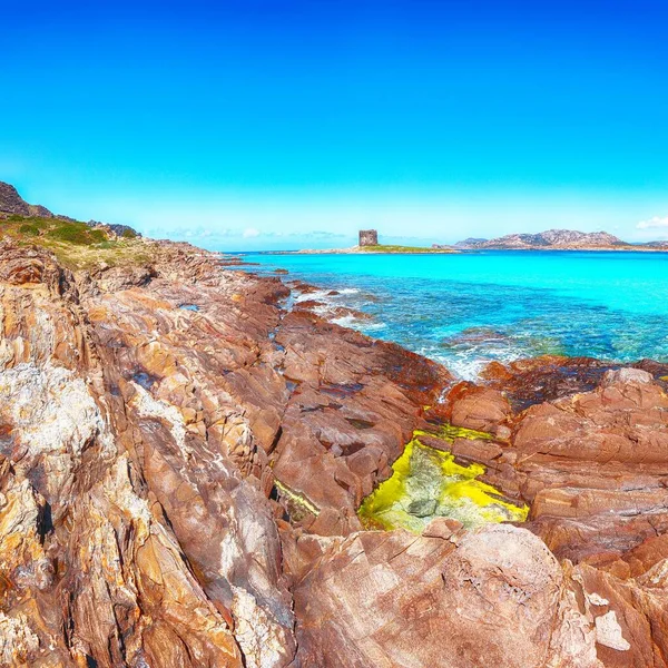 Awesome Morning View Famous Pelosa Beach Rocky Shore Torre Della — Stock Photo, Image