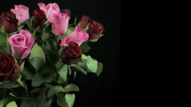 Kırmızı ve pembe gül buketi saat yönünde döndürür