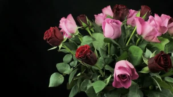Розы в букете на черном фоне вращаются — стоковое видео