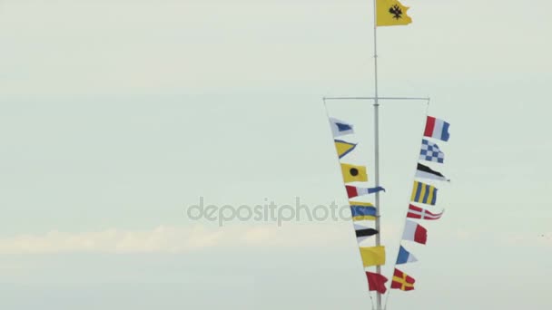 Numerosas banderas ondeando en el viento. Bandera del Imperio ruso a la cabeza — Vídeos de Stock