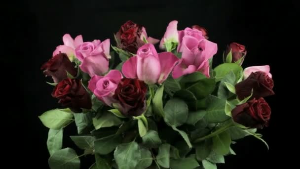 Roses in a bouquet rotating — Stock Video