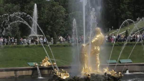 Samson en de fontein van de Leeuw in Peterhof, Sint-Petersburg, Rusland — Stockvideo