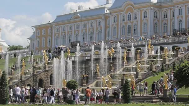 Gran cascada famosa en el parque Peterhof, mostrar escaleras centrales, muchas esculturas de oro — Vídeo de stock