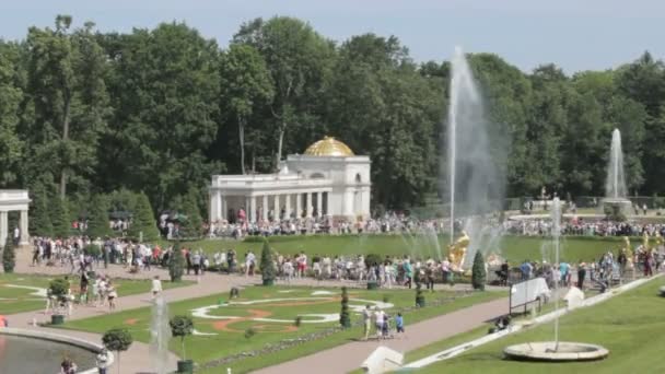 Simson och Lejonet fontänen i Peterhof, en massa turister människor, Sankt Petersburg, Ryssland — Stockvideo