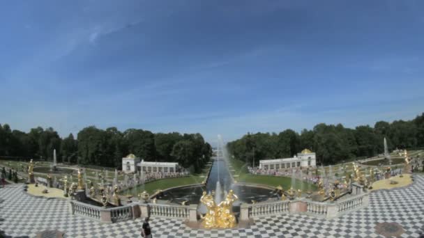 Famosa Gran Cascada, Sansón y la Fuente León en Peterhof, San Petersburgo, Rusia — Vídeo de stock