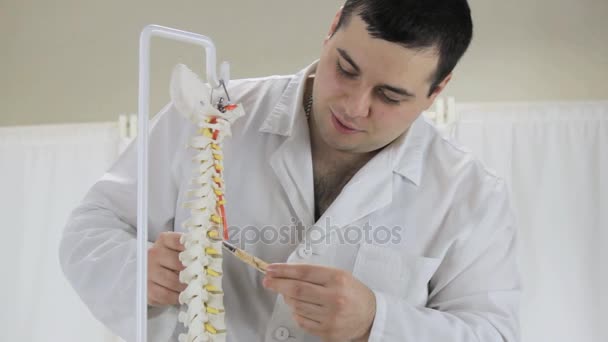 Doutor conta sobre o trabalho da coluna vertebral, um modelo de vértebras humanas — Vídeo de Stock