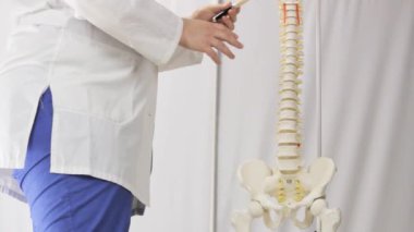 Omurga, insan omurga yerleşimini noktalarına öğretmen