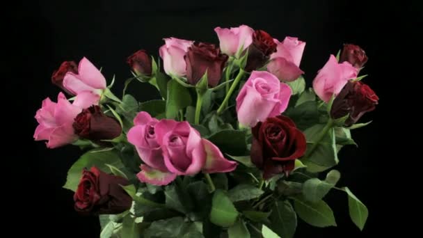 Buquê de rosas em um fundo escuro gira — Vídeo de Stock